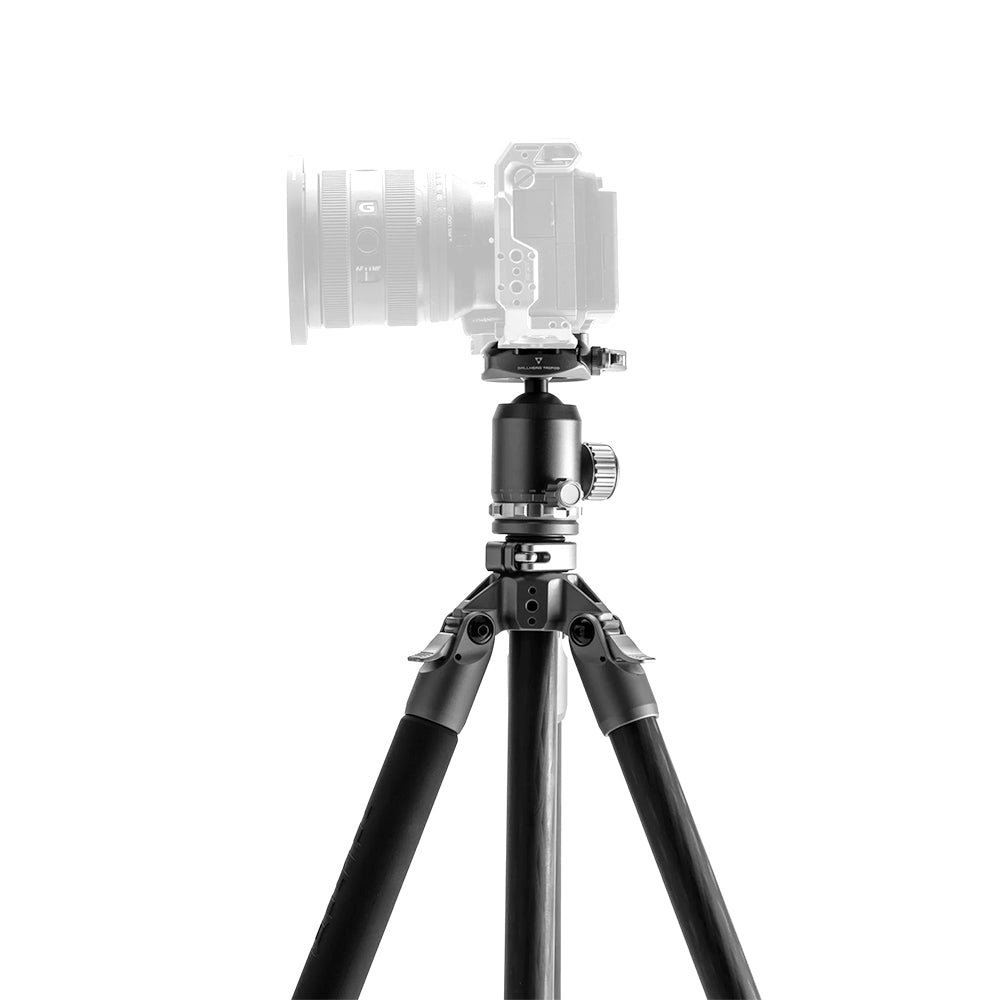 TiLTA Travel Ball Head with 3-Stage Carbon Fiber Tripod Legs (5KG)