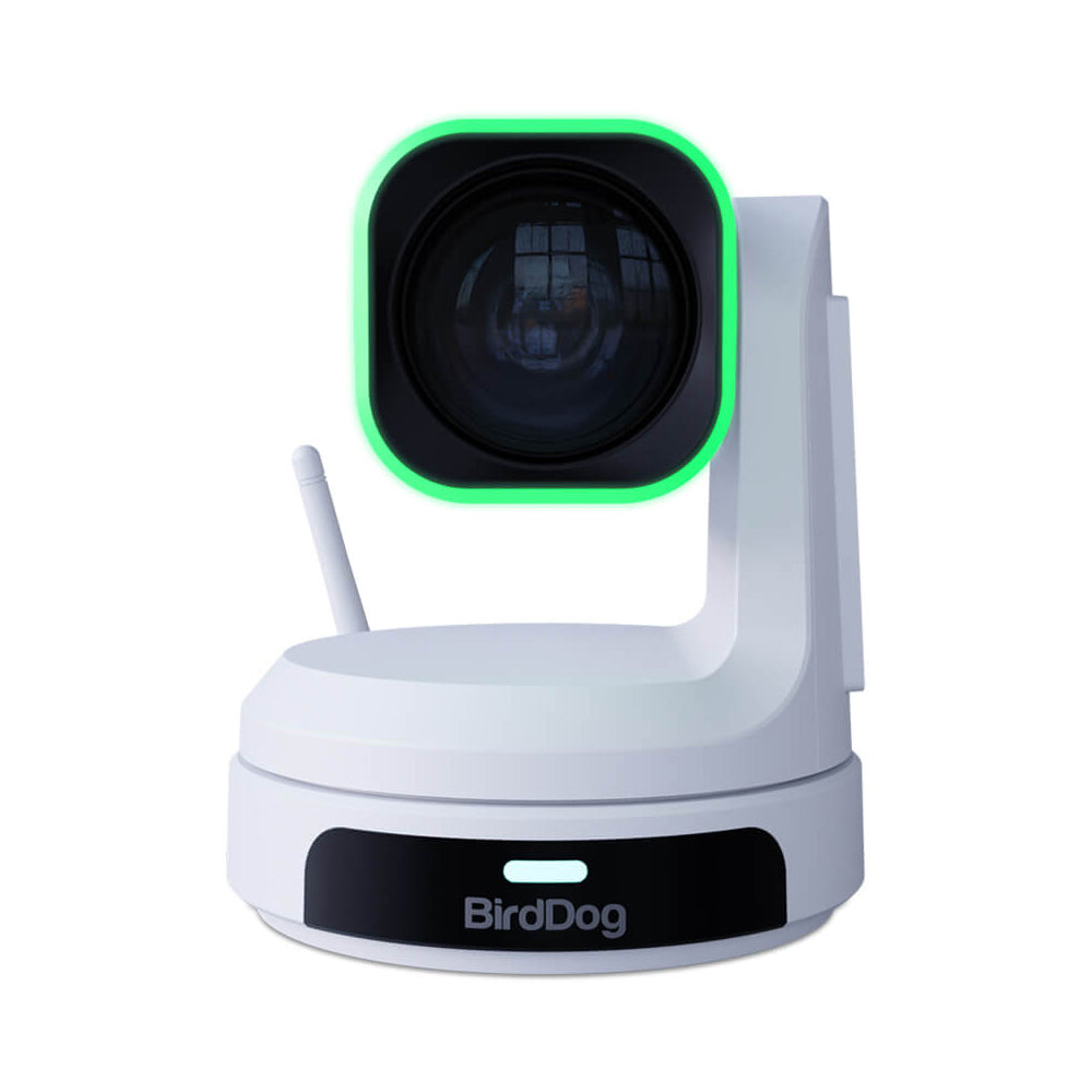 BirdDog X1 Ultra HX3 PTZ Camera - White