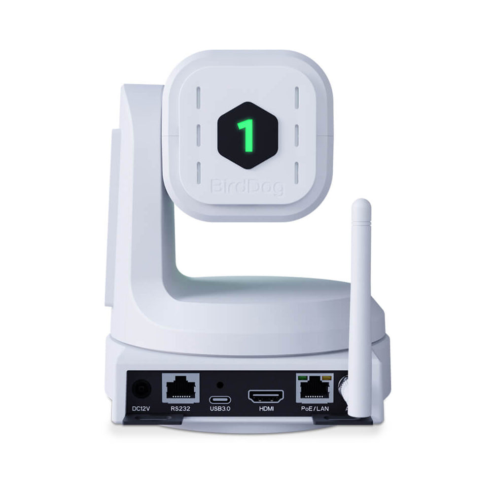 BirdDog X1 HX3 PTZ Camera - White