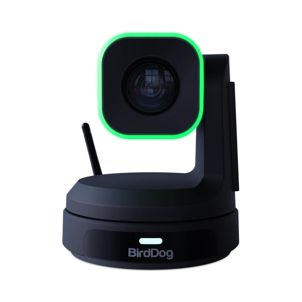 BirdDog X1 HX3 PTZ Camera - Black
