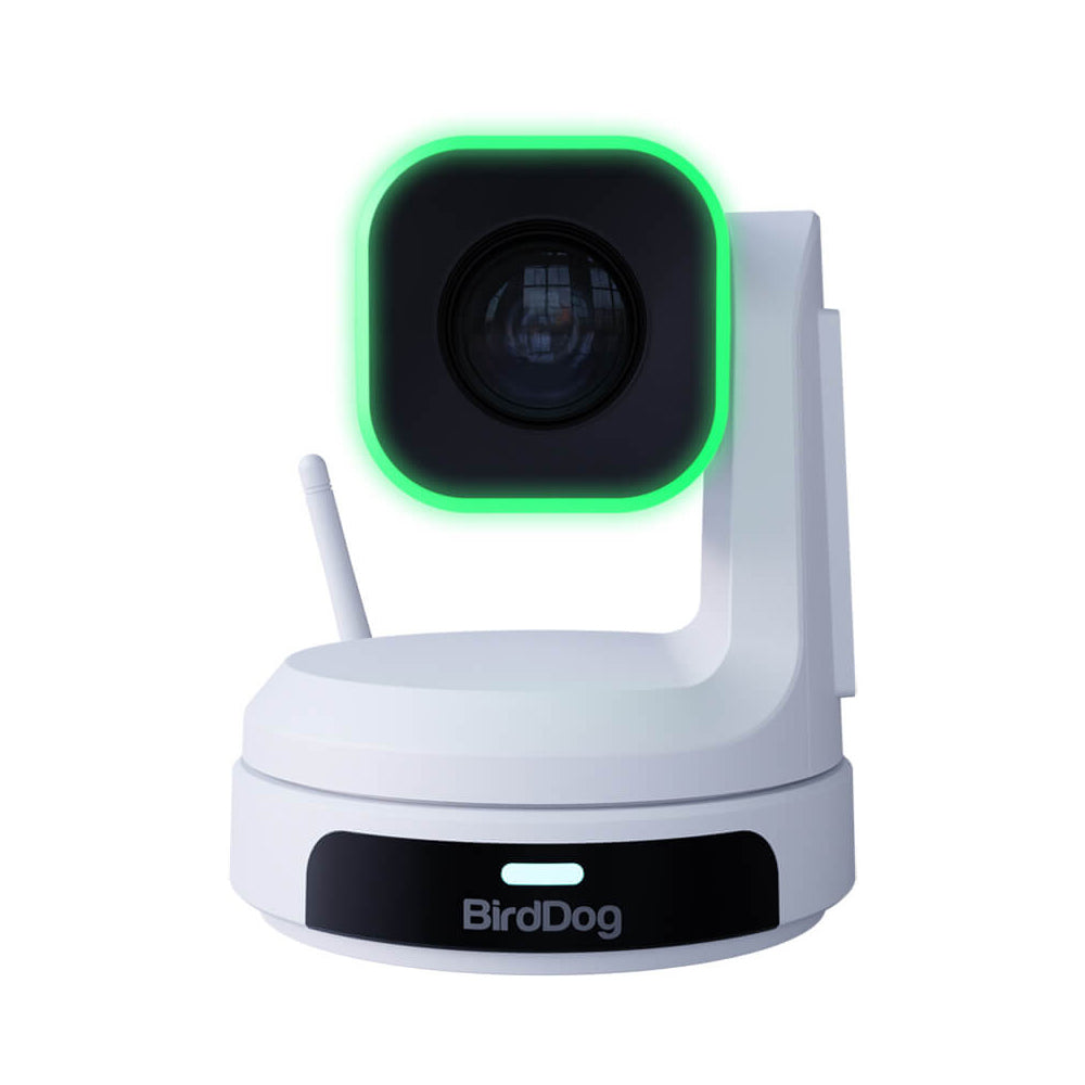 BirdDog X1 HX3 PTZ Camera - White