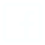 Social icon 1
