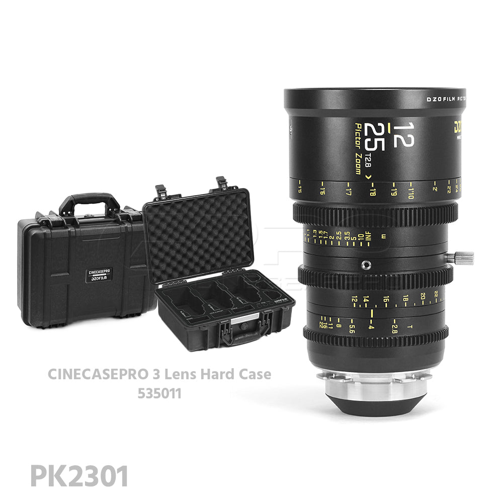 DZOFILM Pictor Zoom 12-25mm T2.8 Super35 Cinema Lens (PL&EF interchangeable Mount, Black)