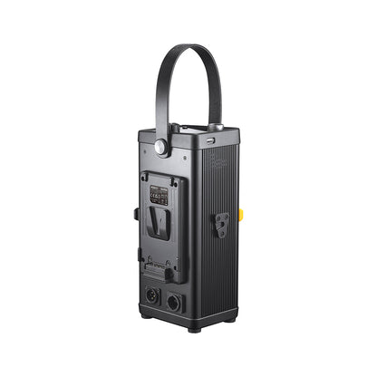 Godox Knowled M300D Daylight LED Light