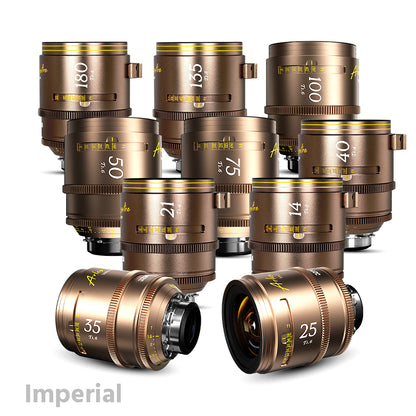 DZOFILM Arles Lustre 10-Lens Set Super Speed Vista Vision Cinema Prime Lens (Gold/PL Mount)
