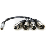Atomos Replacement LEMO Type to XLR Breakout Cable for Shogun Audio Cable - CINEGEARPRO