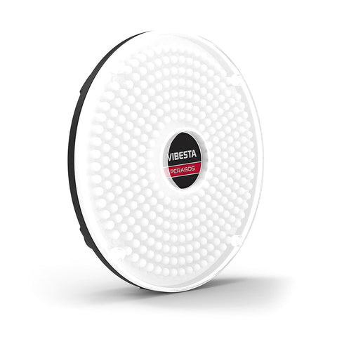Vibesta Peragos Disk 304B Bi-colour LED light