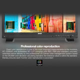 RUIGE-ACTION AT-2200HD 21.5” 3G-SDI HDMI Broadcast Director Monitor Monitor - CINEGEARPRO