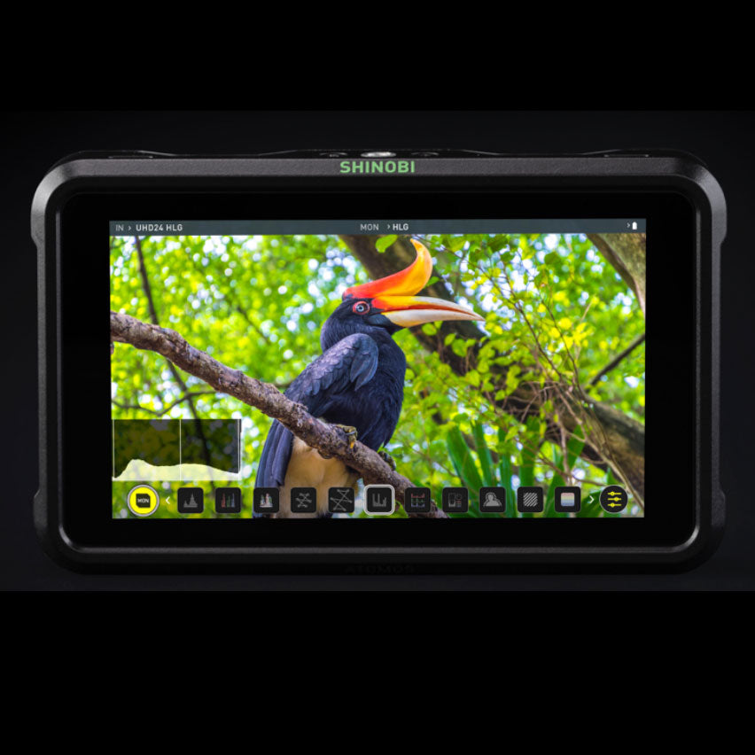 Atomos Shinobi 5.2” 4K HDMI HDR Photo and Video Monitor Monitor - CINEGEARPRO