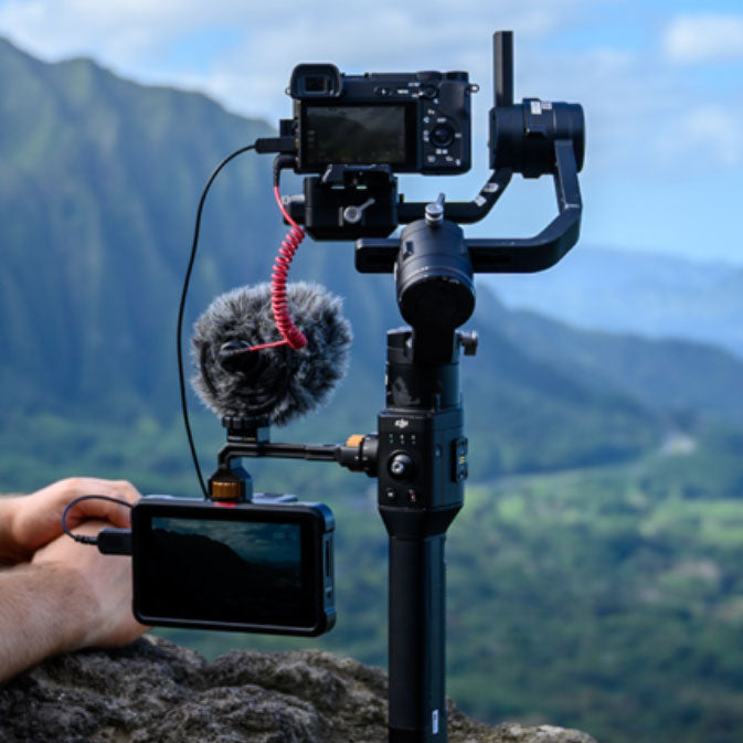 Atomos Shinobi 5.2” 4K HDMI HDR Photo and Video Monitor Monitor - CINEGEARPRO