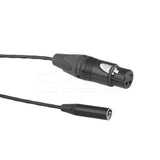 CGPro Mini 3pin XLR Male To Full 3pin XLR Female Cable For BMPCC4K cable - CINEGEARPRO
